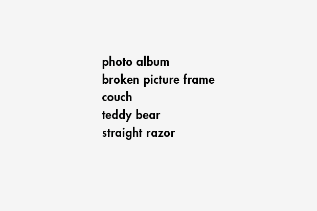 photo album / broken picture frame / couch / teddy bear / straight razor
