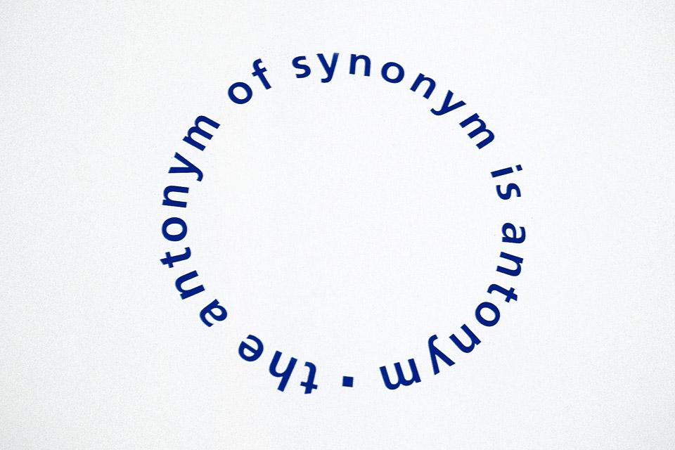 the antonym of synonym is antonym